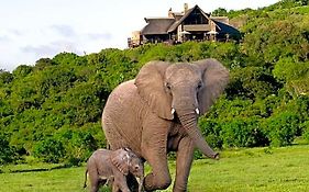 Hopewell Private Game Reserve